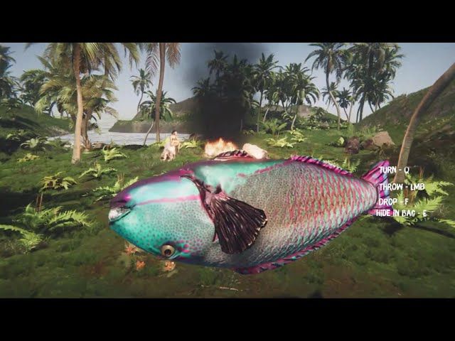 Lost in Tropics PC Steam CD Key