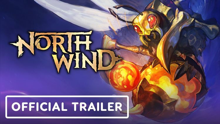 Northwind PC Steam CD Key