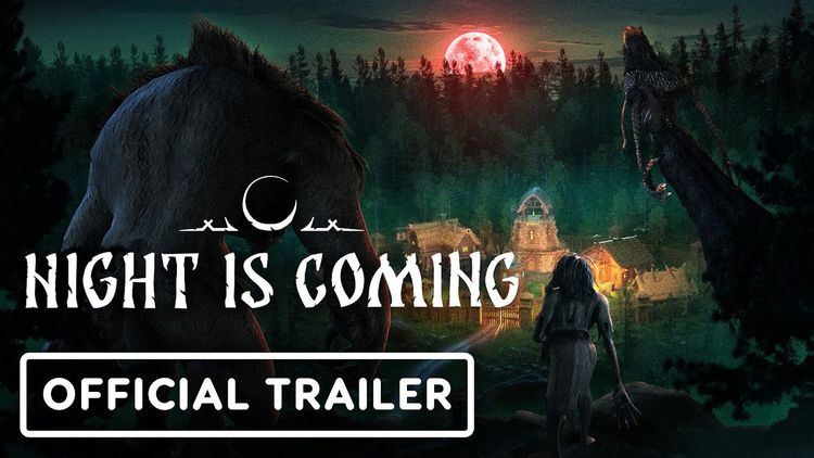 Night is Coming PC Steam CD Key