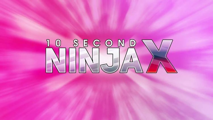 10 Second Ninja X PC Steam CD Key