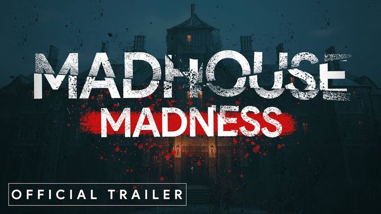 Madhouse Madness: Streamer's Fate PC Steam CD Key