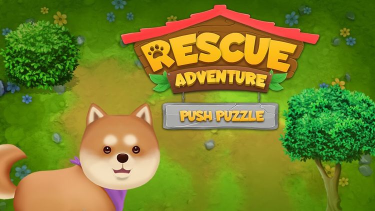 Push Puzzle - Rescue Adventure Steam CD Key