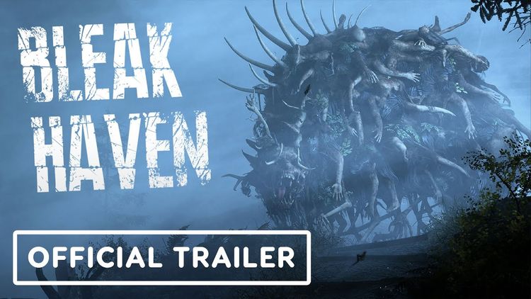 Bleak Haven PC Steam CD Key