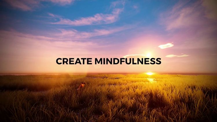 PLAYNE : The Meditation Game Steam CD Key