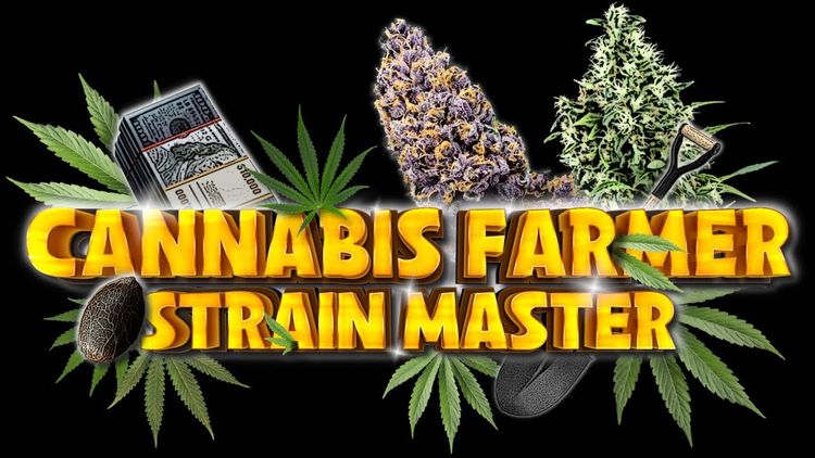 Cannabis Farmer Strain Master Steam CD Key