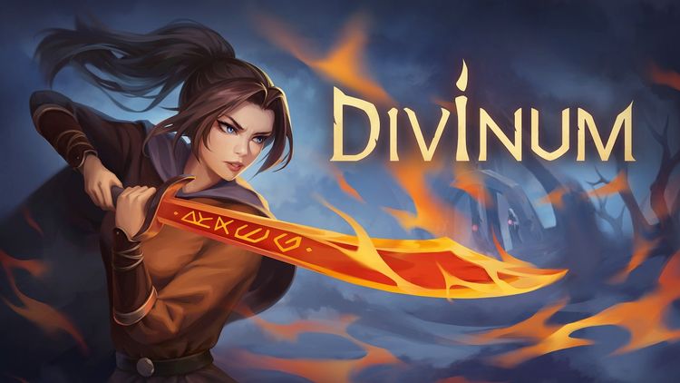 Divinum PC Steam CD Key