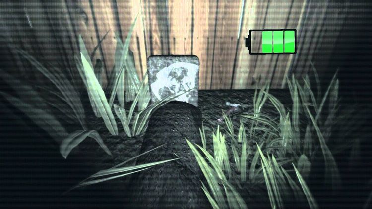 Paranormal Steam CD Key