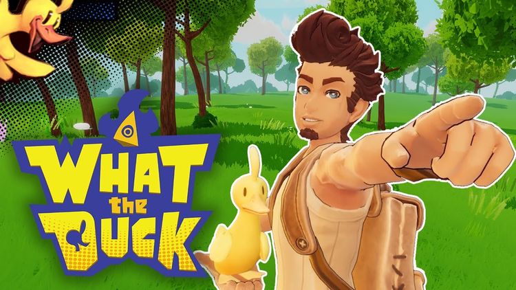 What The Duck Steam CD Key
