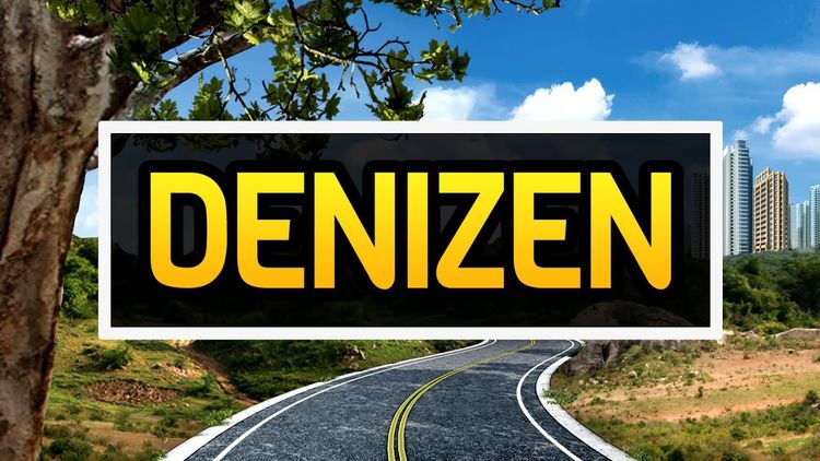 Denizen PC Steam Account