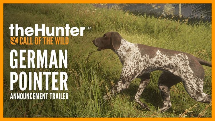 theHunter: Call of the Wild - German Shorthaired Pointer DLC PC Steam CD Key