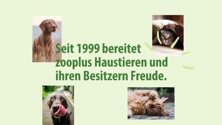 Zooplus €50 Gift Card DE
