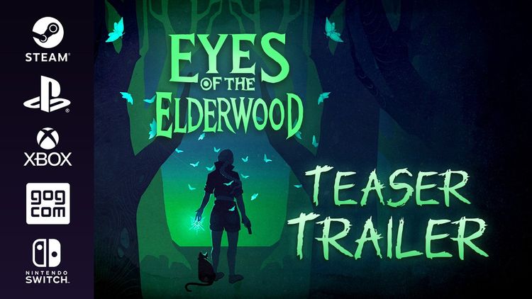 Eyes Of The ElderWood PC Steam CD Key