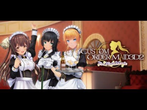 CUSTOM ORDER MAID 3D2 It's a Night Magic EU v2 Steam Altergift