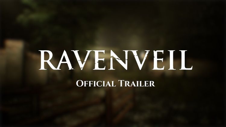 RavenVeil PC Steam CD Key