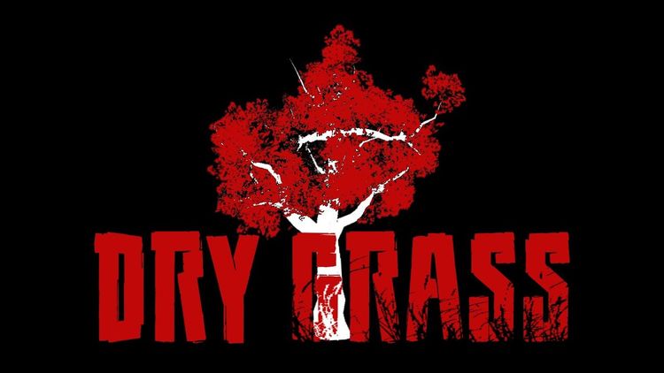 Dry Grass PC Steam CD Key