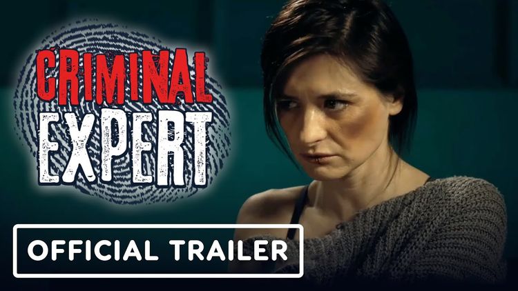 Criminal Expert PC Steam CD Key