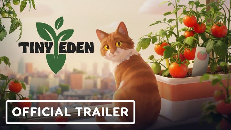 Tiny Eden PC Steam Account