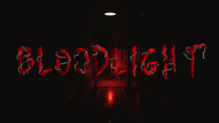 BloodLight PC Steam CD Key