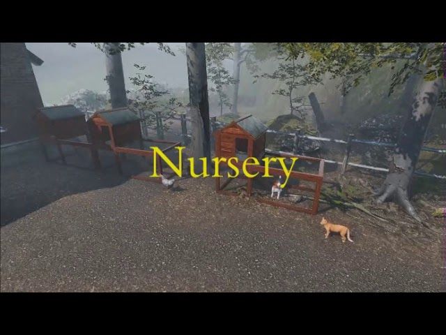 Naturalist Stories Steam CD Key