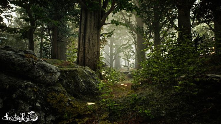 Reaching for Petals Steam CD Key