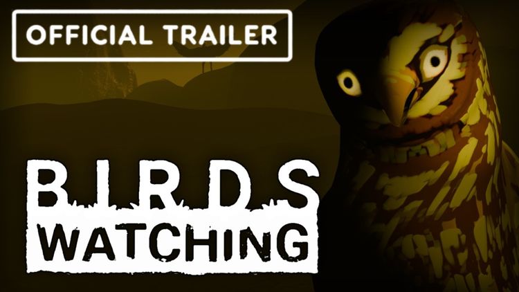 Birds Watching PC Steam CD Key