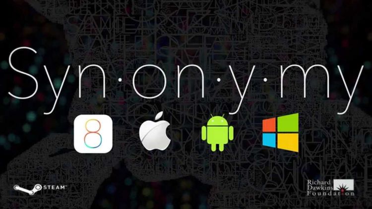 Synonymy Steam CD Key