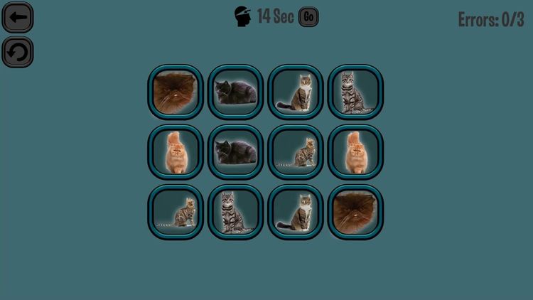 Animals Memory: Cats PC Steam CD Key