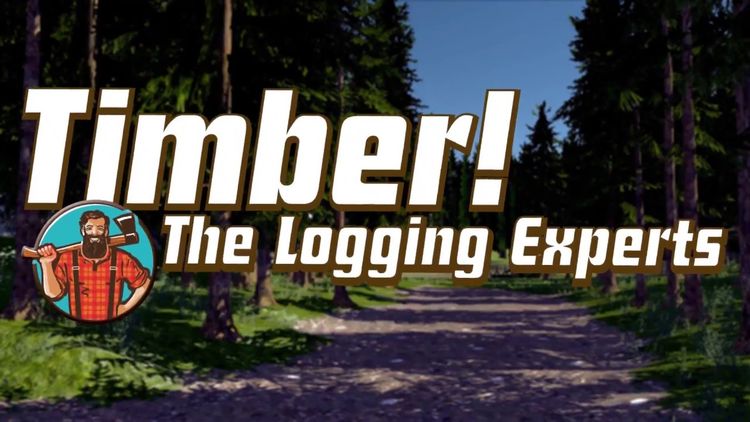 Timber! The Logging Experts Steam CD Key