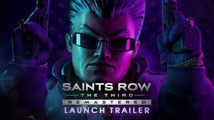 Saints Row: Empire PC Steam CD Key