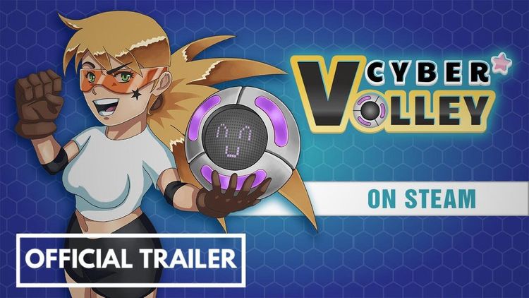 Cyber Volley PC Steam CD Key