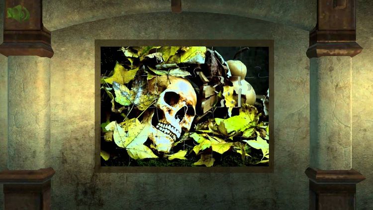Puzzles At Mystery Manor Steam CD Key