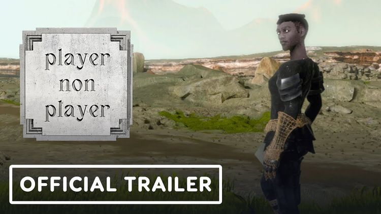 Player Non Player Steam CD Key