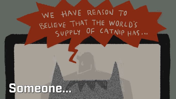 Super Cat Herding: Totally Awesome Edition Steam CD Key