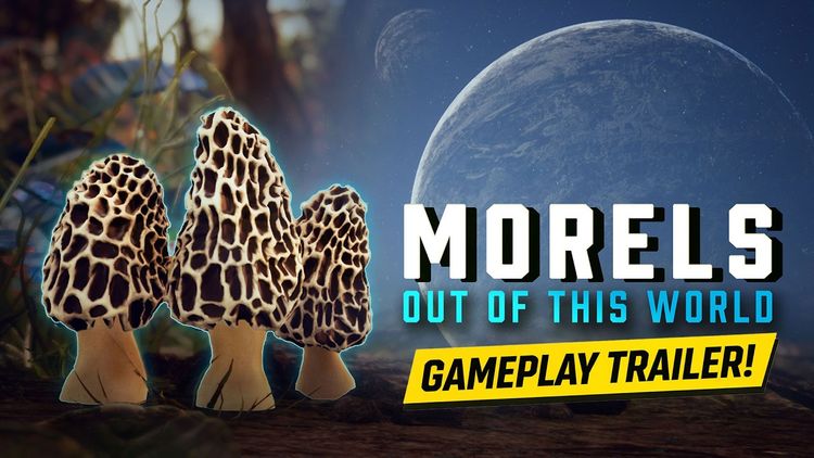 Morels: Out of this World PC Steam CD Key