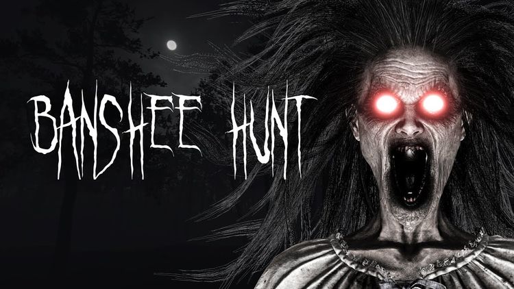 Banshee Hunt Steam CD Key