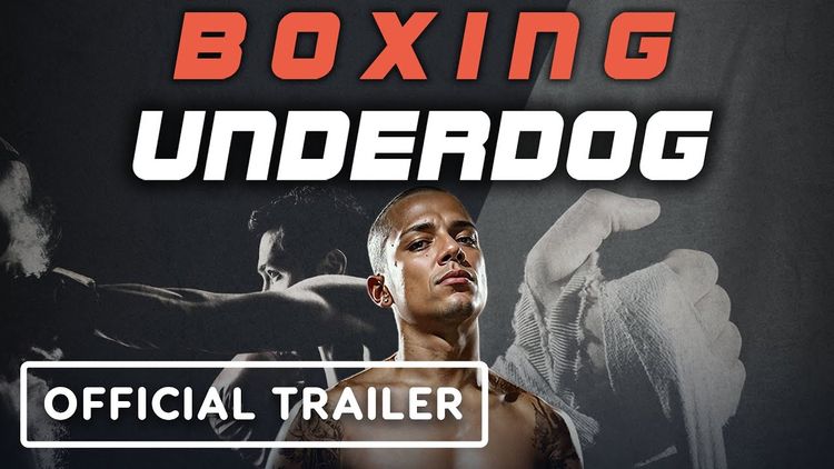 Boxing Underdog Meta Quest Gift