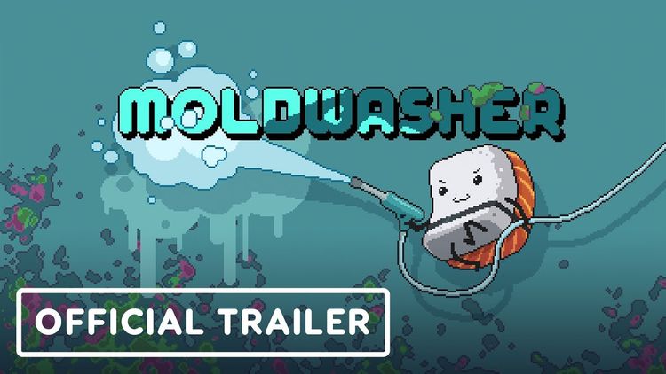Moldwasher PC Steam CD Key