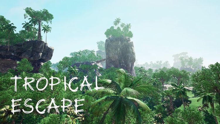Tropical Escape Steam CD Key