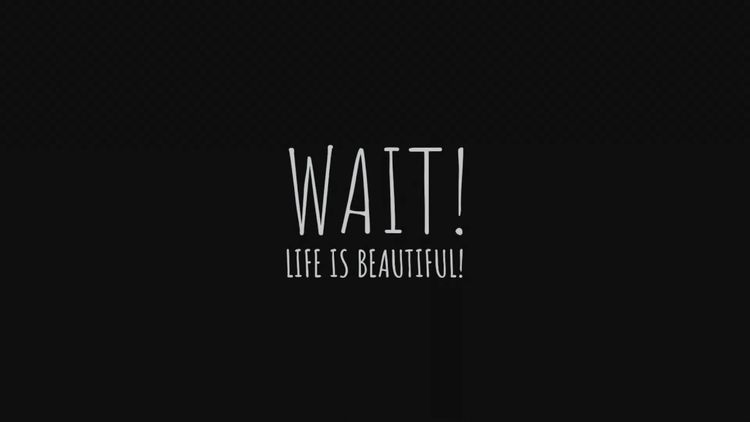 Wait! Life is beautiful! Steam CD Key
