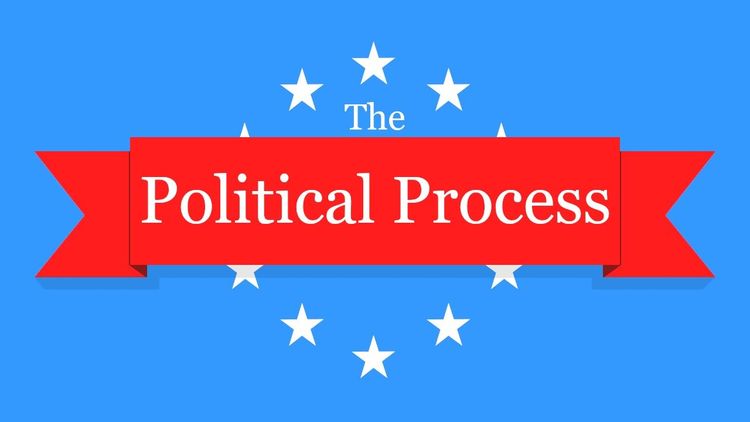 The Political Process PC Steam CD Key
