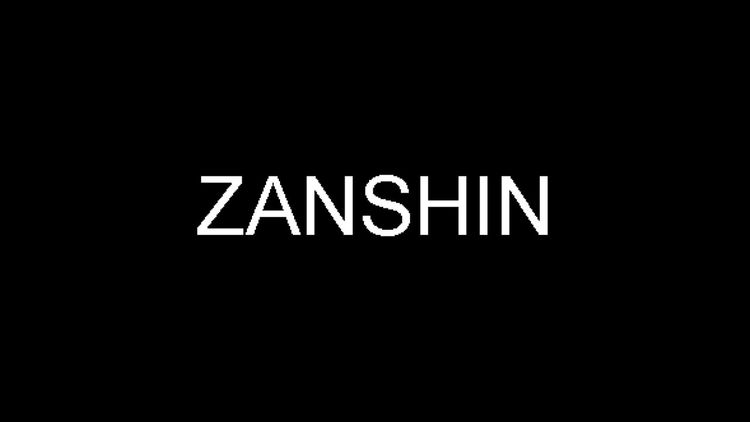 Zanshin Steam CD Key