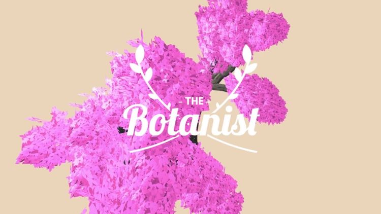 The Botanist Steam CD Key