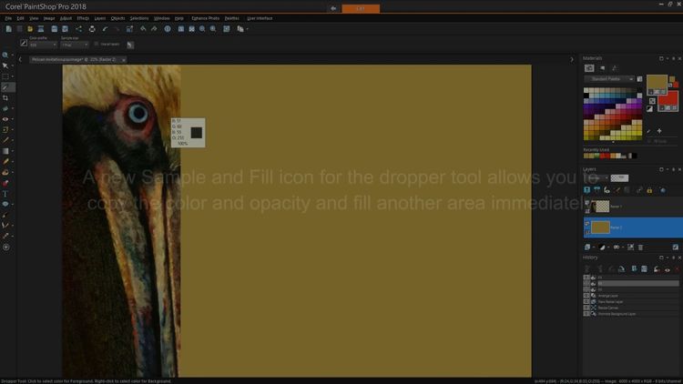 PaintShop Pro 2018 Activation Code