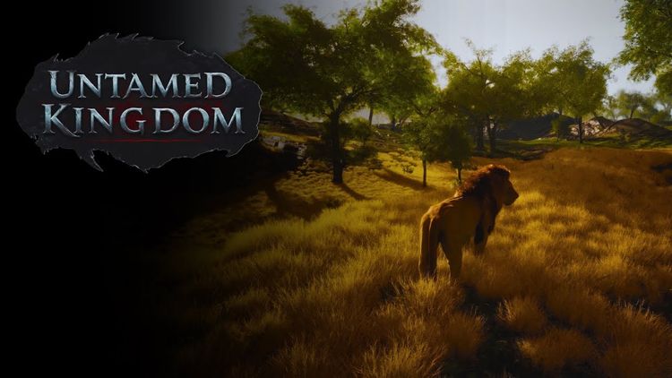 Untamed Kingdom PC Steam CD Key