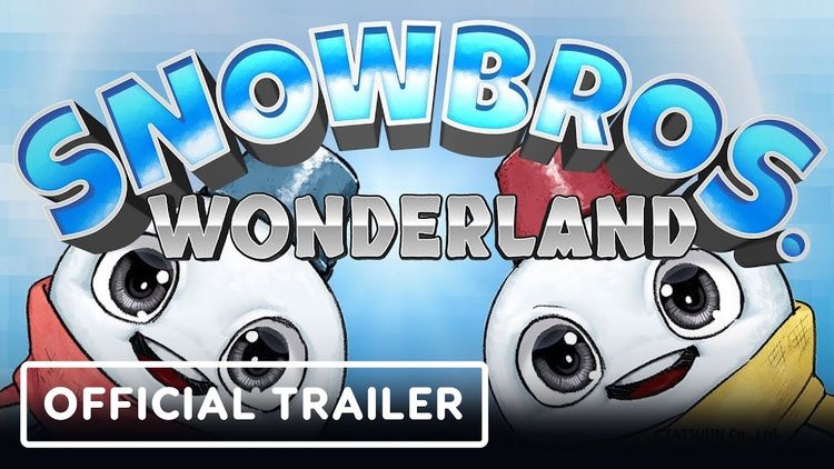 Snow Bros. Wonderland PC Steam CD Key