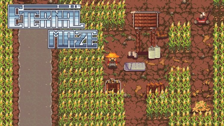 Eternal Maze Steam CD Key