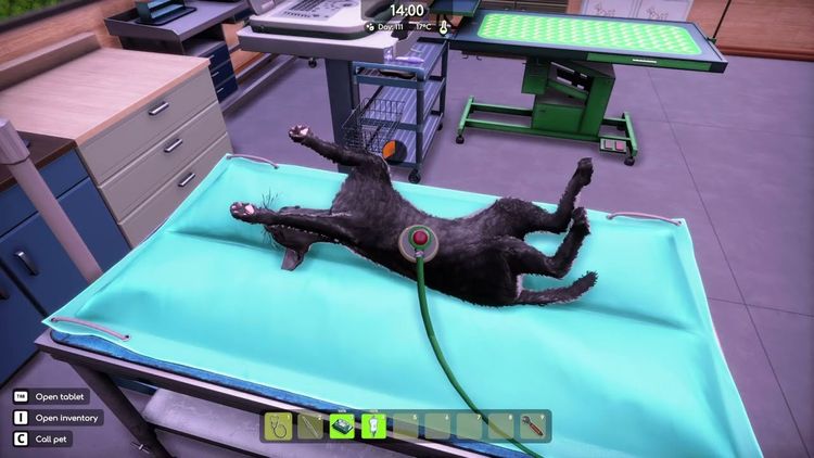 Animal Shelter 2 - Vet Clinic DLC PC Steam CD Key