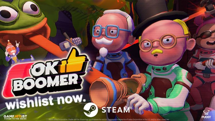 OK Boomer PC Steam CD Key