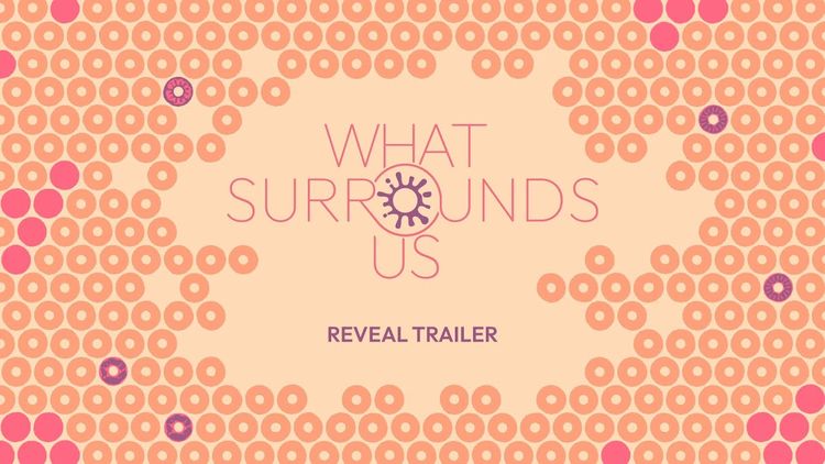 What Surrounds Us PC Steam CD Key