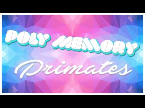 Poly Memory: Primates Steam CD Key
